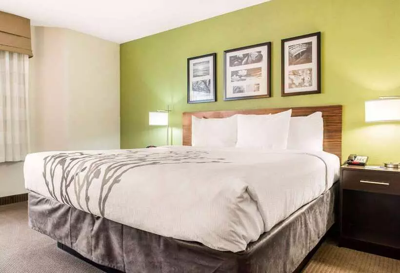 Отель Sleep Inn & Suites