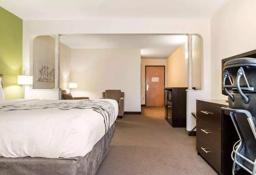 Отель Sleep Inn & Suites