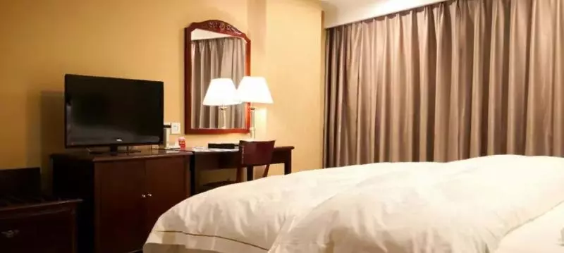 酒店 Telecom International