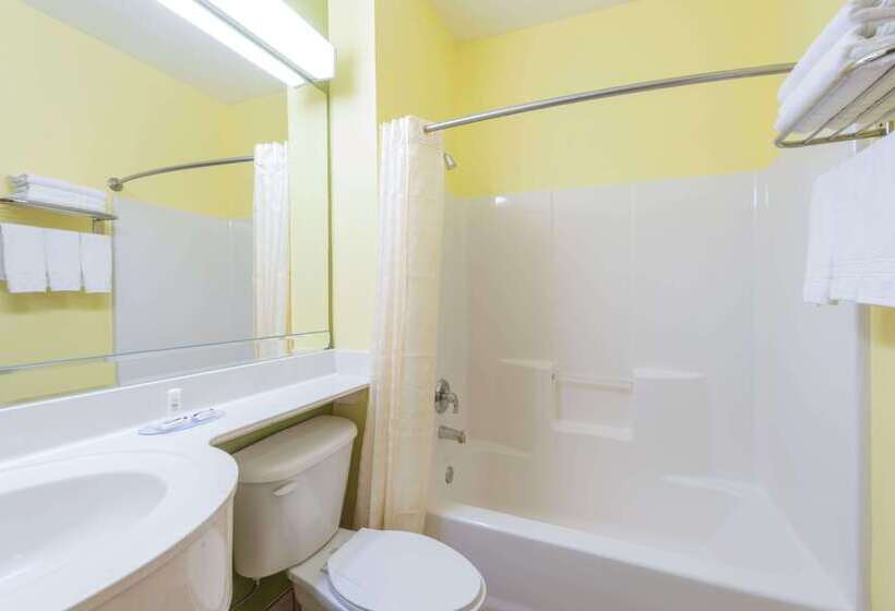 Microtel Inn & Suites By Wyndham Ft. Worth North/at Fossil