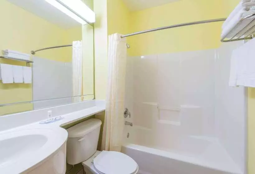 Microtel Inn & Suites By Wyndham Ft. Worth North/at Fossil