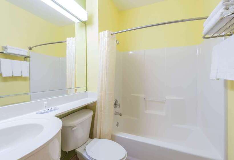 Microtel Inn & Suites By Wyndham Ft. Worth North/at Fossil