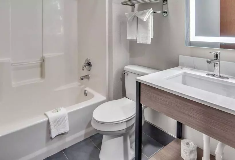 Microtel Inn & Suites By Wyndham Ft. Worth North/at Fossil