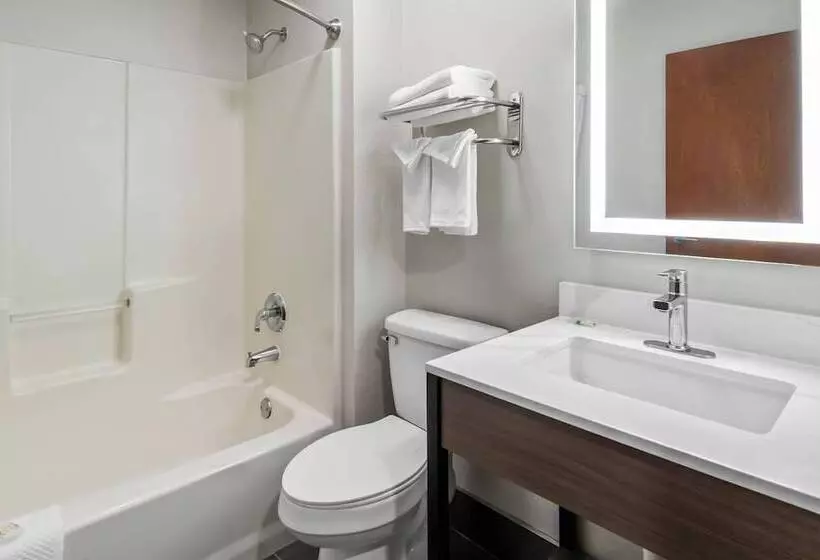 Microtel Inn & Suites By Wyndham Ft. Worth North/at Fossil