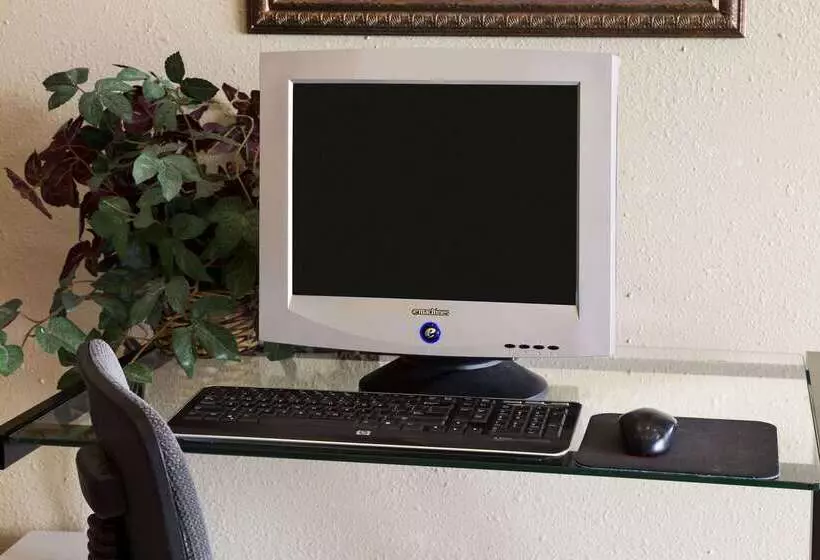 モーテル Super 8 By Wyndham Colorado Springs Airport