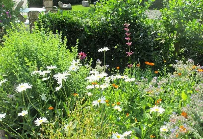 Silberkönig Schwarzwald Hotel & Restaurant Ring