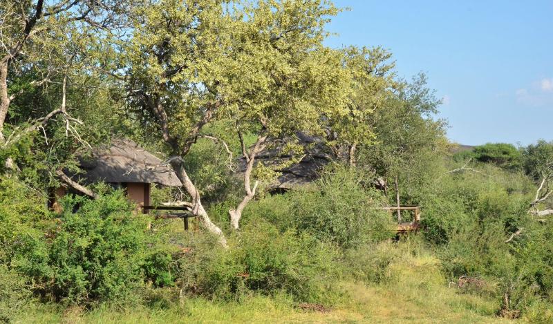 ホテル Motswiri Private Safari Lodge