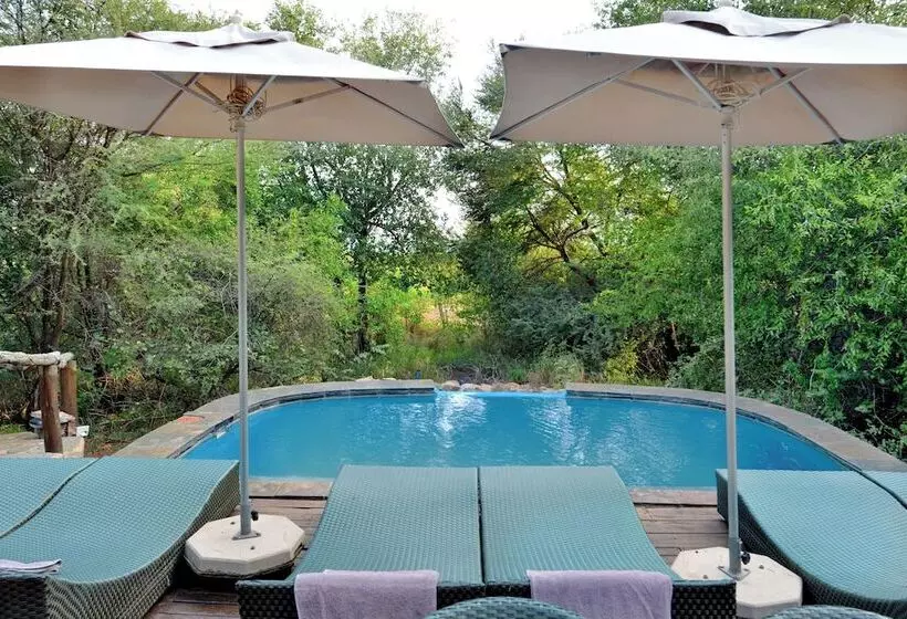 Motswiri Private Safari Lodge