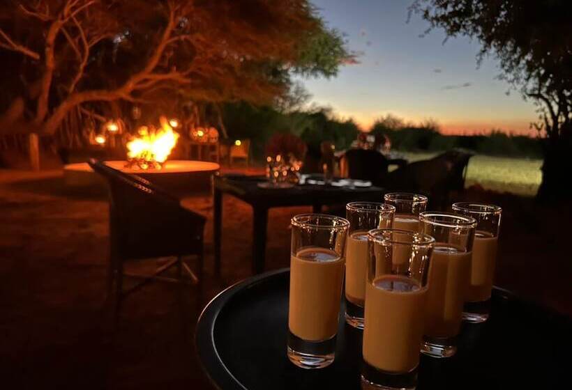 ホテル Motswiri Private Safari Lodge