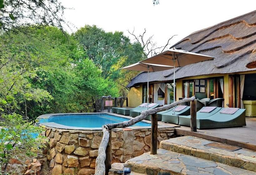 ホテル Motswiri Private Safari Lodge
