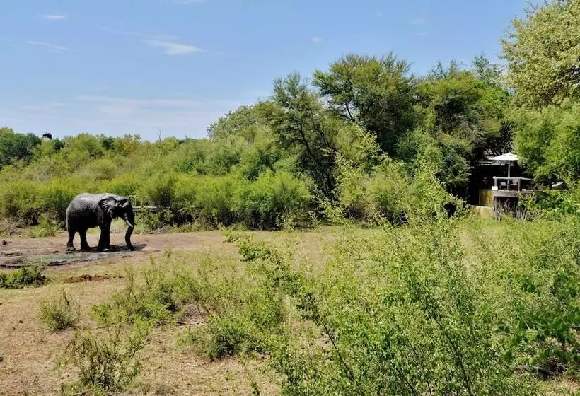 Hotelli Motswiri Private Safari Lodge