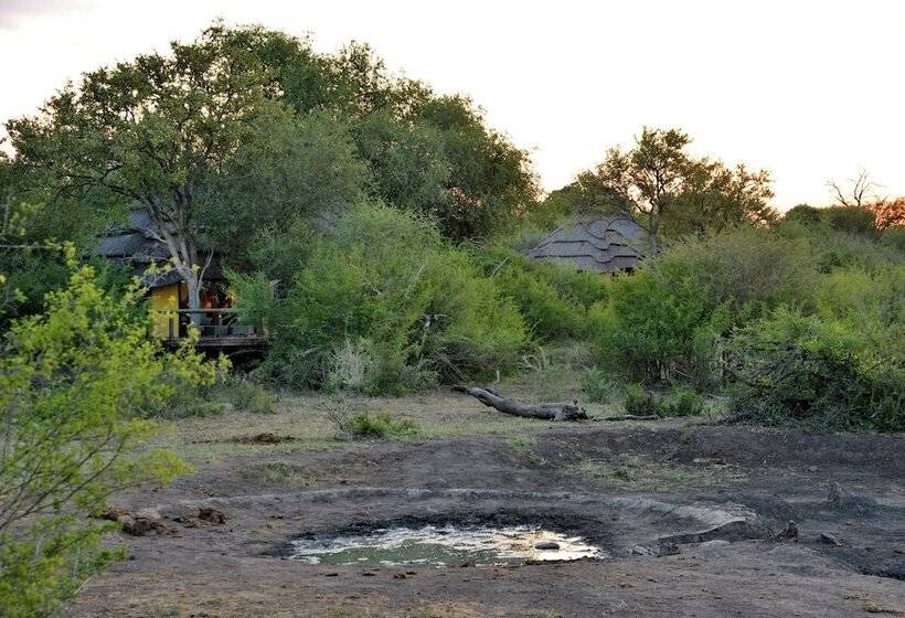 ホテル Motswiri Private Safari Lodge