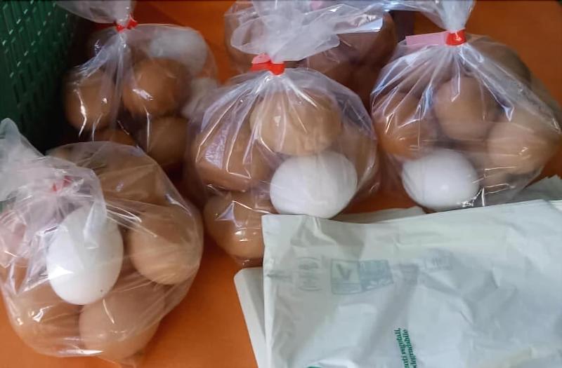 Agriturismo Lo Scoiattolo