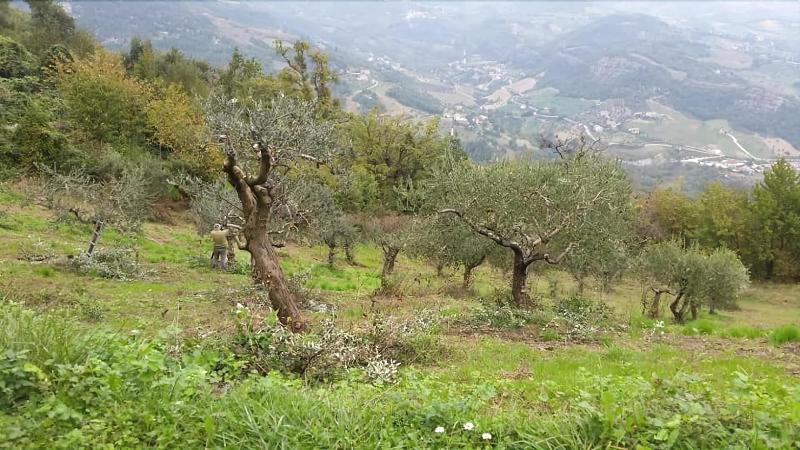 Agriturismo Lo Scoiattolo