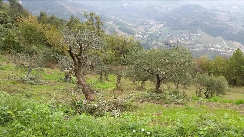 Agriturismo Lo Scoiattolo