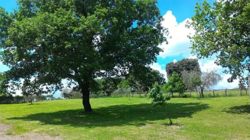San Filippo