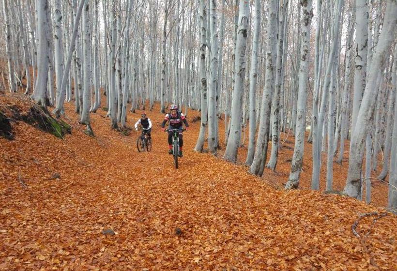 تختخواب و صبحانه Etna Bike Holiday