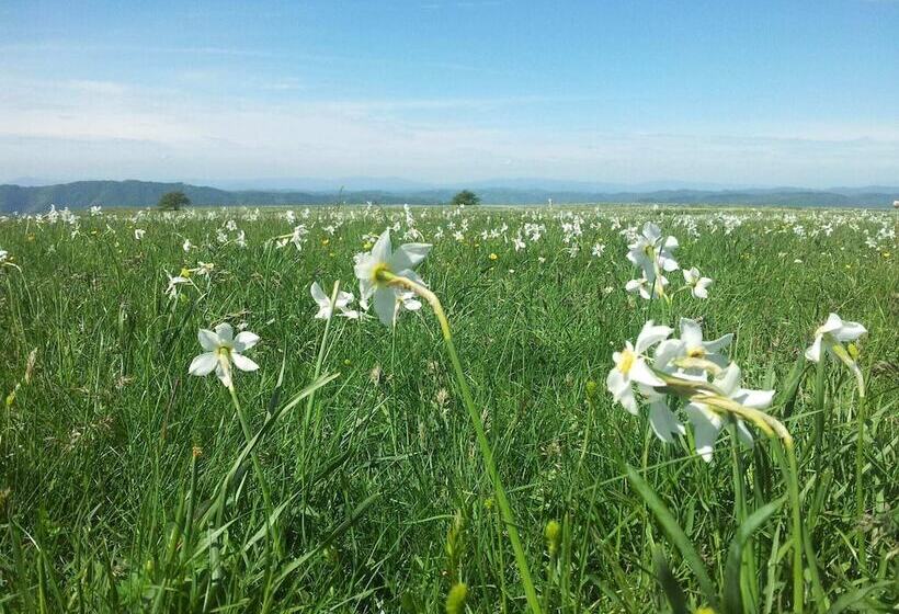 Detached House In Cagli With Swimming Pool And Garden