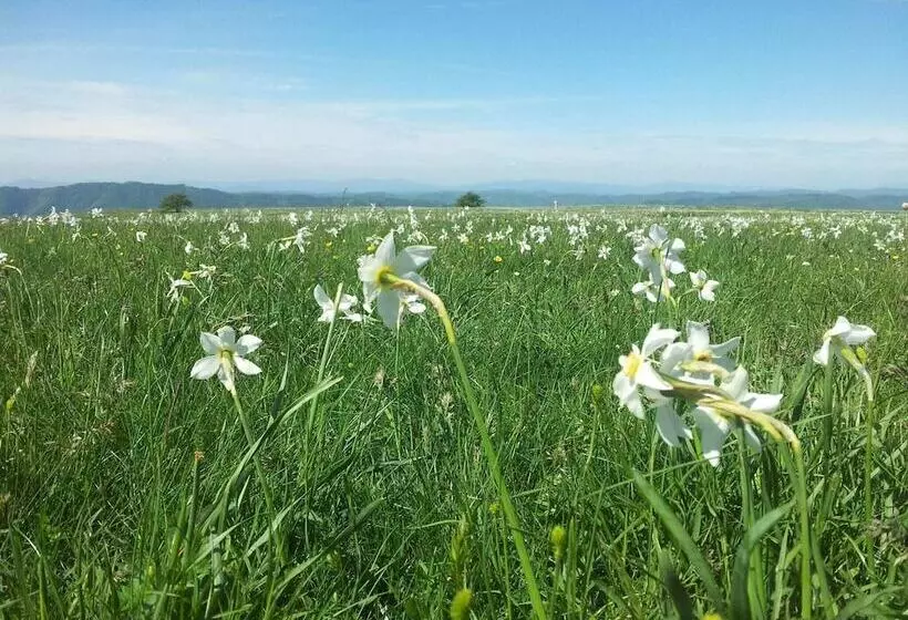 Detached House In Cagli With Swimming Pool And Garden