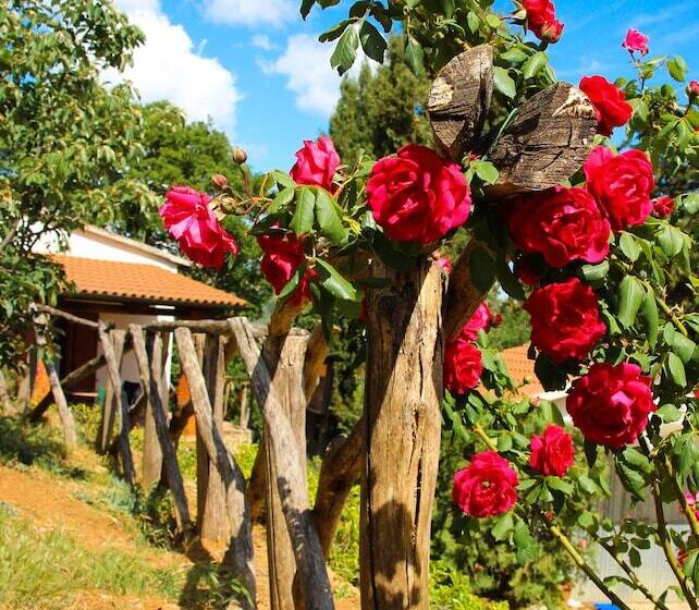 בית מלון כפרי Agriturismo Millefiori
