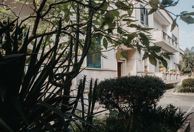 تختخواب و صبحانه Piazza Argento