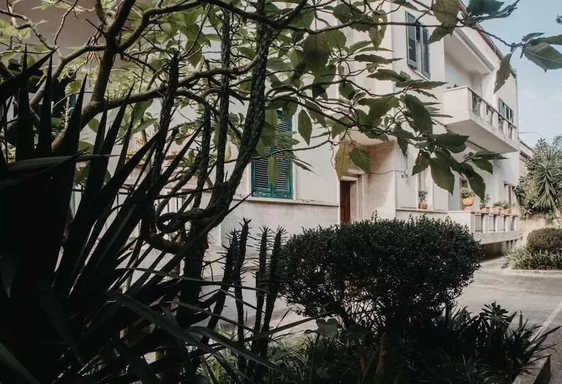 تختخواب و صبحانه Piazza Argento