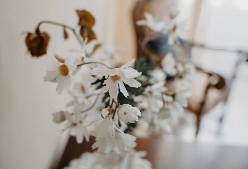 تختخواب و صبحانه Piazza Argento