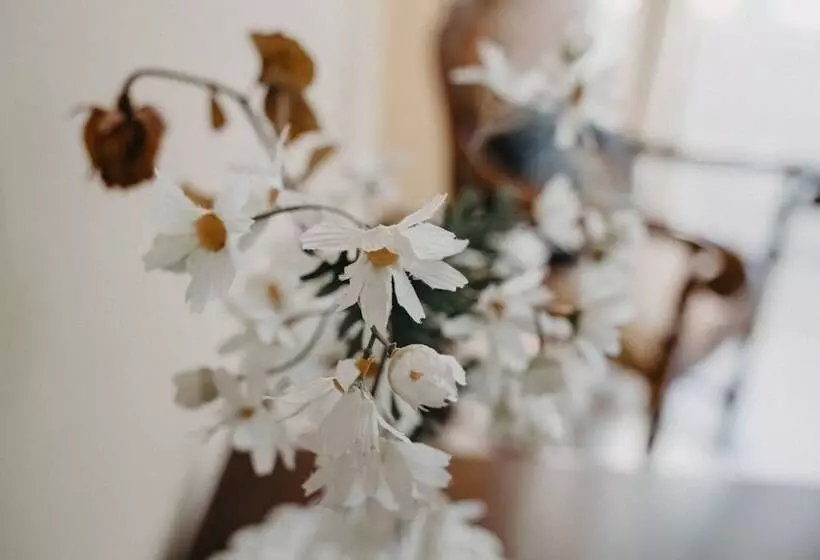 تختخواب و صبحانه Piazza Argento