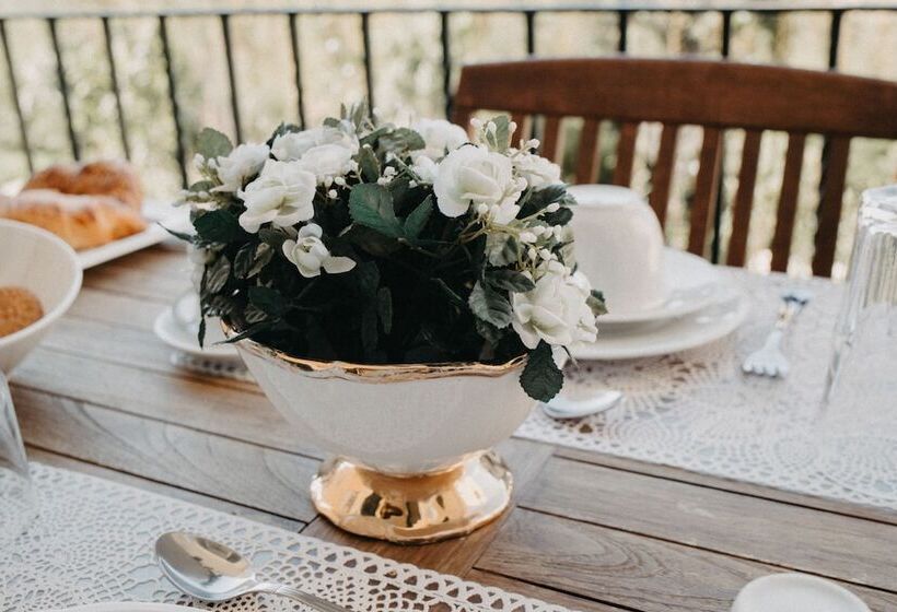 تختخواب و صبحانه Piazza Argento