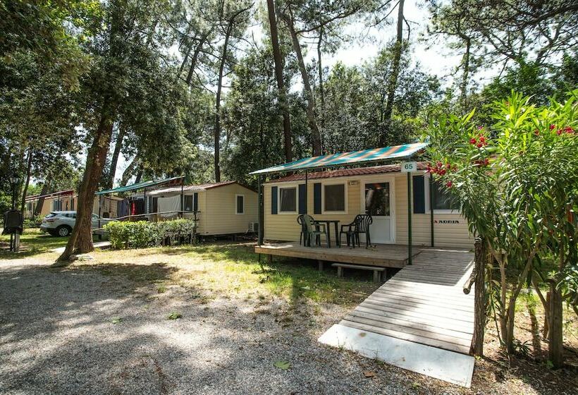 בית מלון כפרי Camping Al Bosco