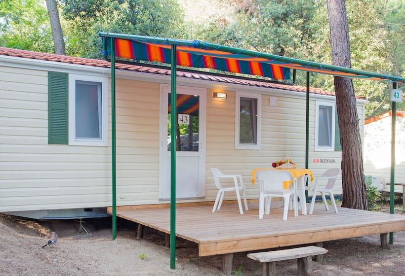 בית מלון כפרי Camping Al Bosco