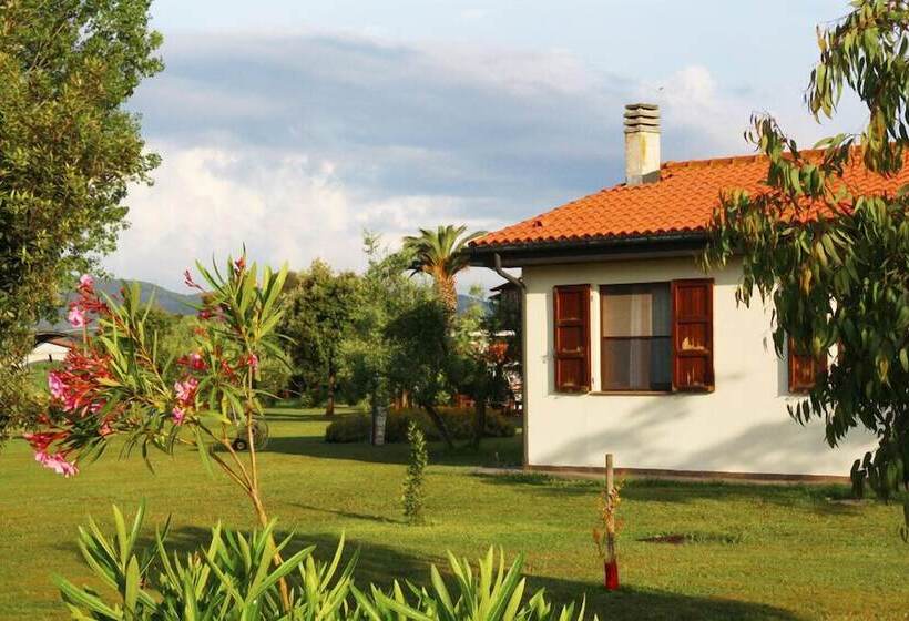 乡村酒店  Glamping Gli Etruschi