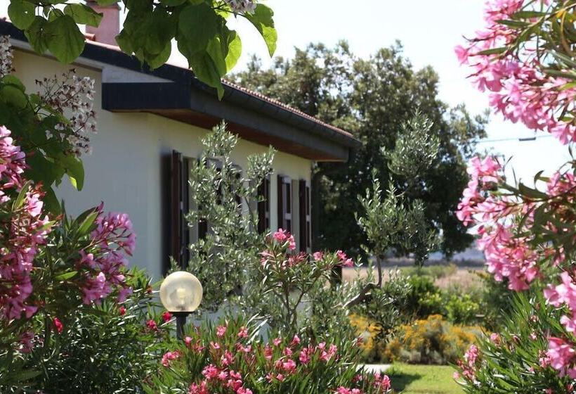 乡村酒店  Glamping Gli Etruschi