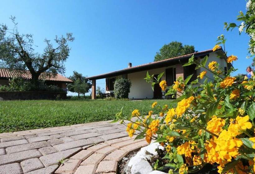 乡村酒店  Glamping Gli Etruschi