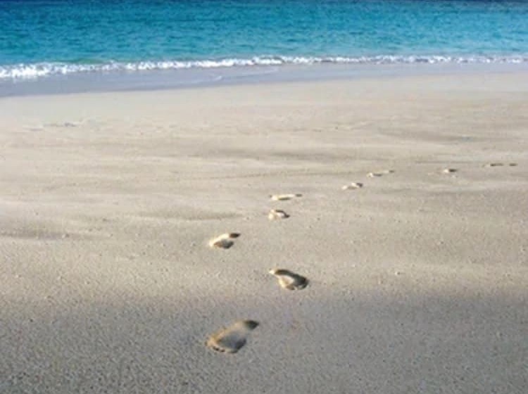 酒店 Shoal Bay Villas