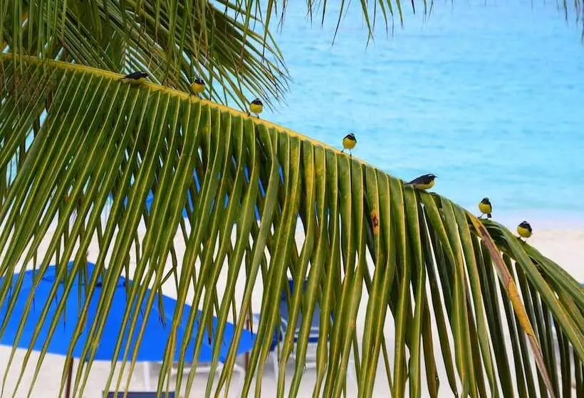 هتل Shoal Bay Villas