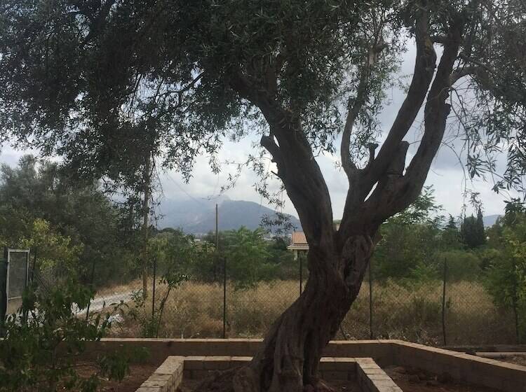 פנסיון Casa Flavia