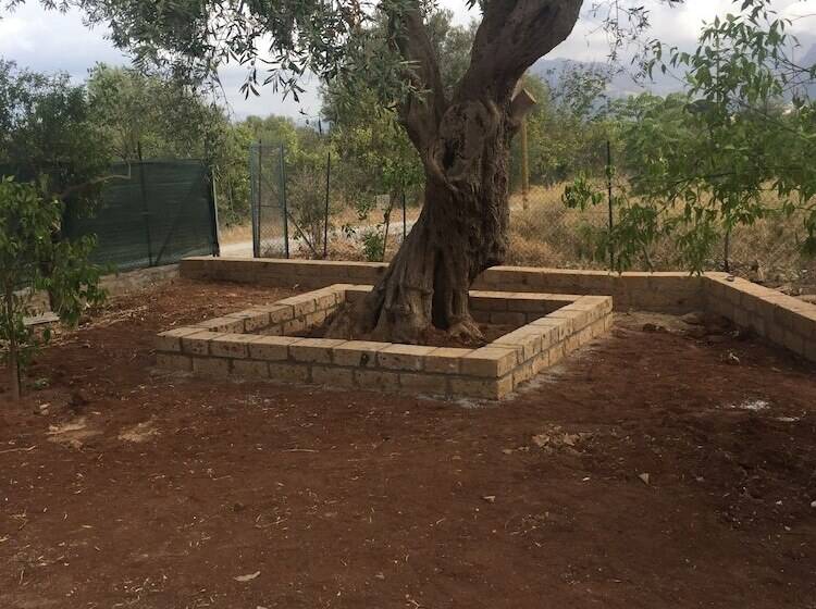 פנסיון Casa Flavia