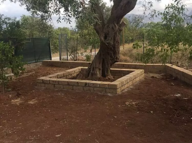 ペンション Casa Flavia