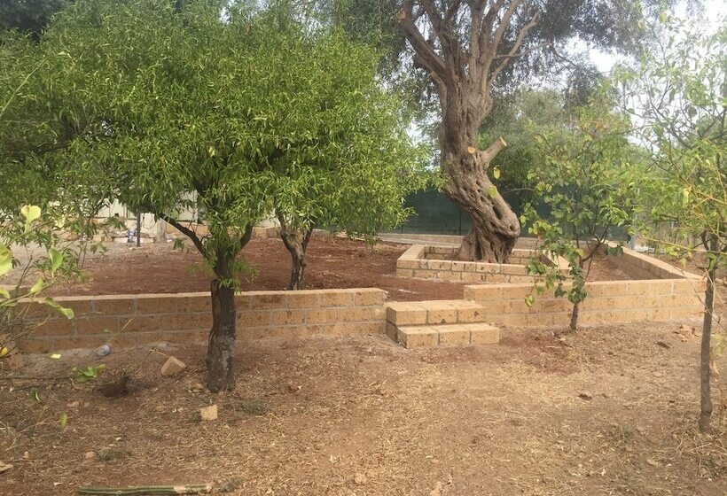 פנסיון Casa Flavia