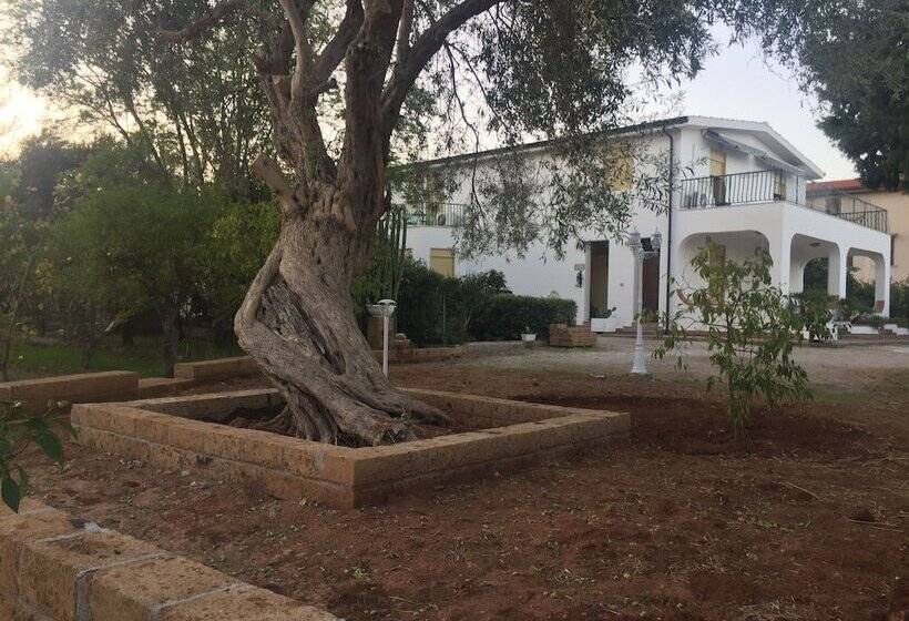 פנסיון Casa Flavia