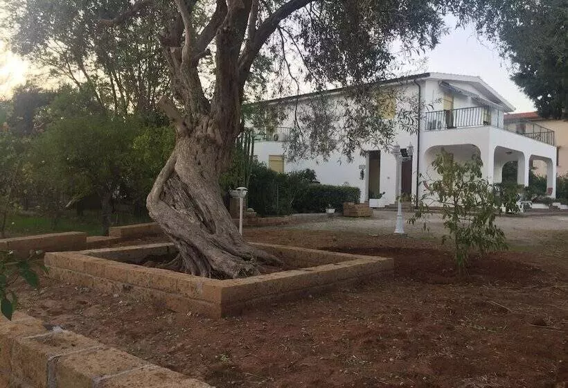 ペンション Casa Flavia