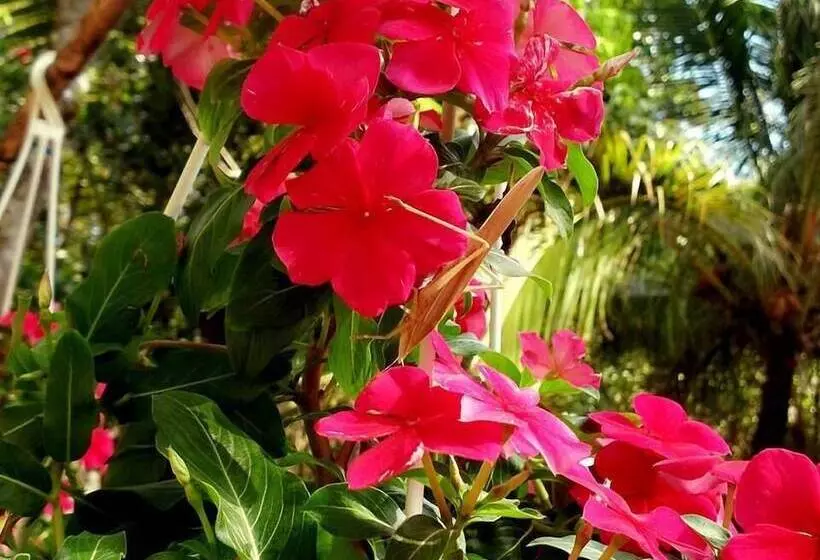 پانسیون Duc Anh Garden Homestay