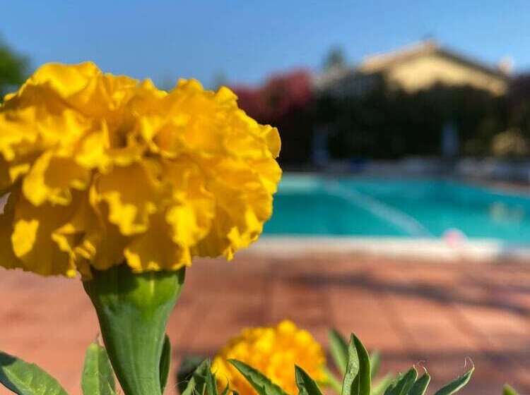 펜션 Residenza Cardinal Girolamo Di Moncelli