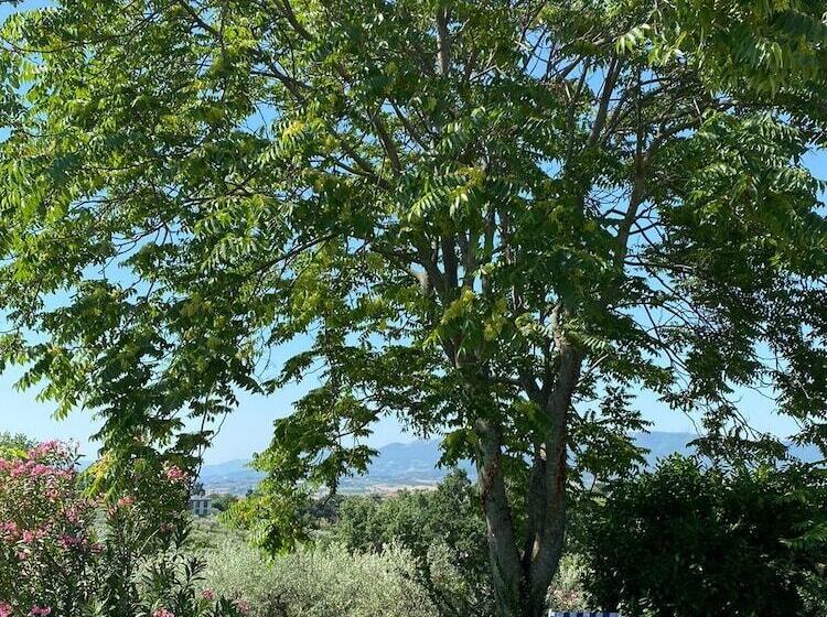 펜션 Residenza Cardinal Girolamo Di Moncelli