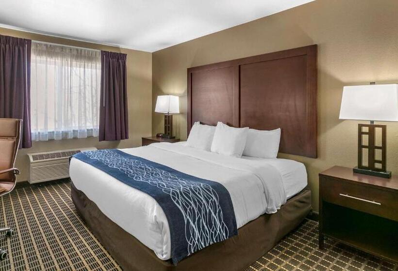 هتل Comfort Inn Fort Collins North