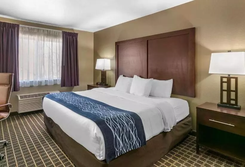 호텔 Comfort Inn Fort Collins North