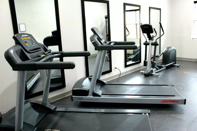 בית מלון כפרי Comfort Inn & Suites Cartersville   Emerson Lake Point