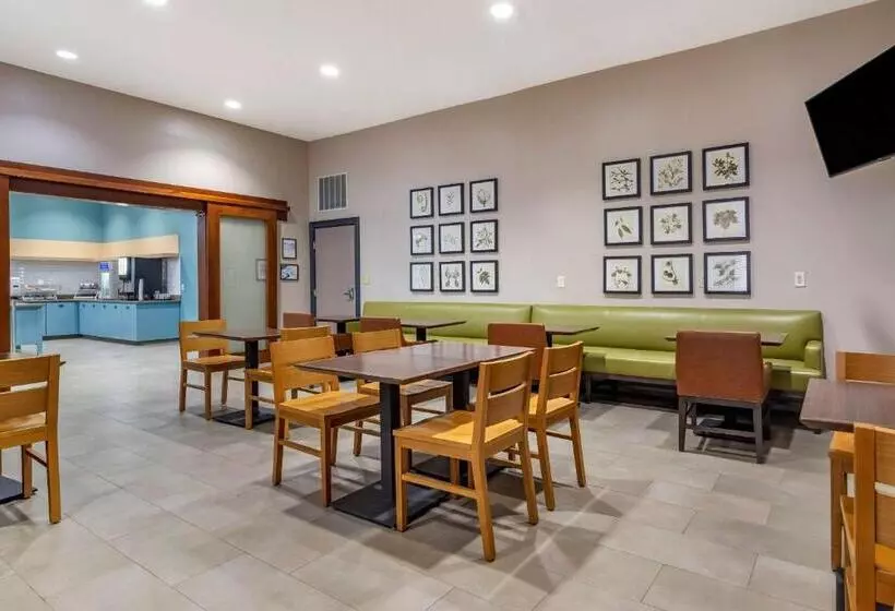 בית מלון כפרי Comfort Inn & Suites Cartersville   Emerson Lake Point