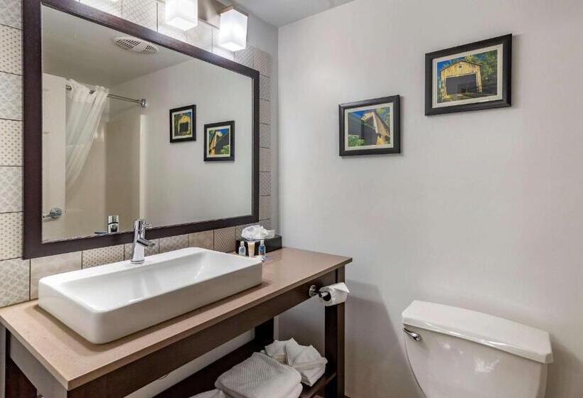 호텔 Comfort Inn & Suites Cartersville Emerson Lake Point